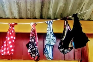 Imagen de Cajón menstrual